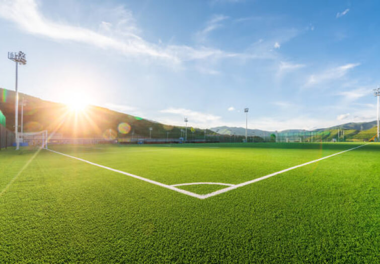 Playground Artificial Grass