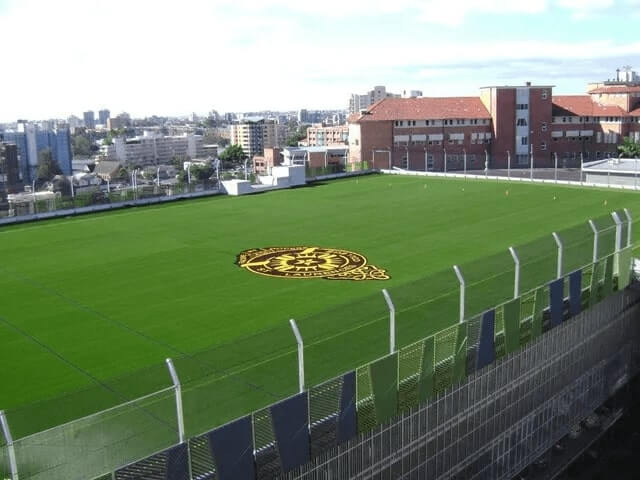 Synthetic Grass At Sports Oval