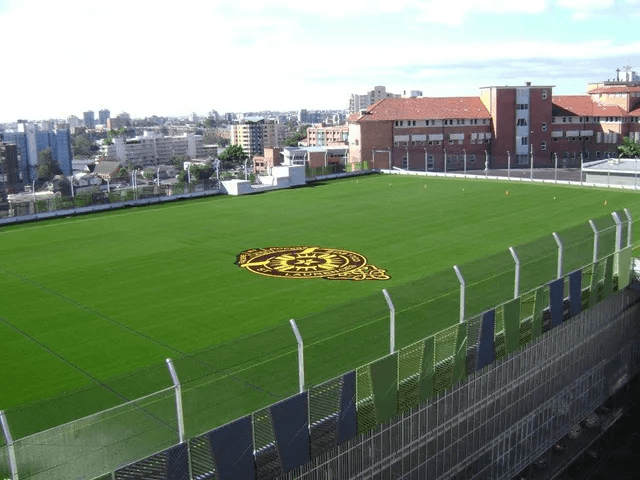 Synthetic Grass For Sports Oval